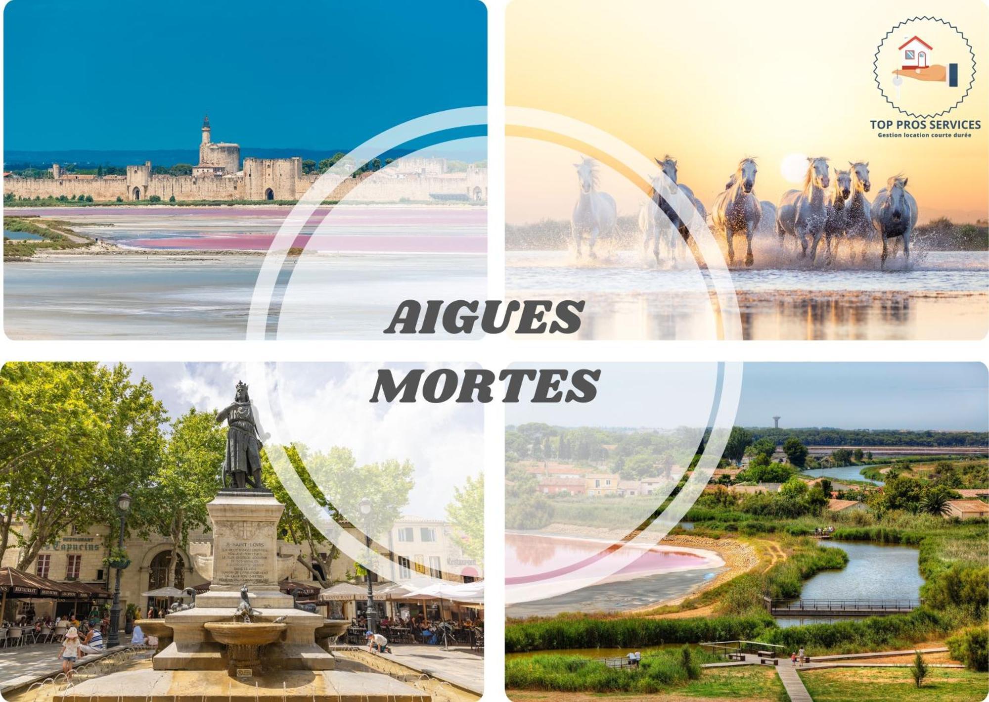 Les Marines Port 2 Min Plage Camargue- Top Pros Services Conciergerie La Grande Motte Mauguio Exterior photo